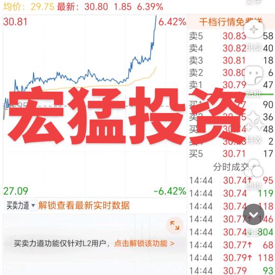 华尔街奔跑的股王，（宏猛投资）（回民）