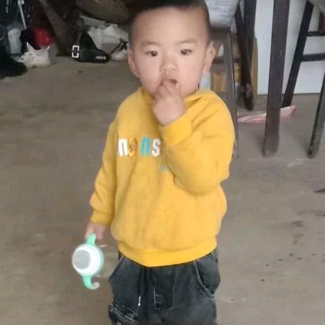 橙子 橙橙