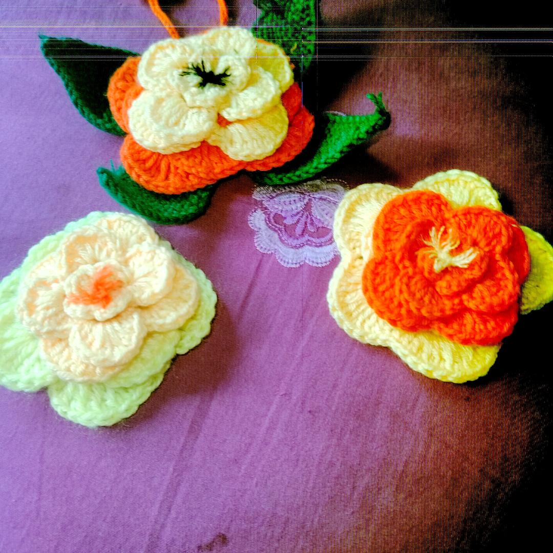 哈喽呀？我的真名叫程小淑了，我的小名叫小