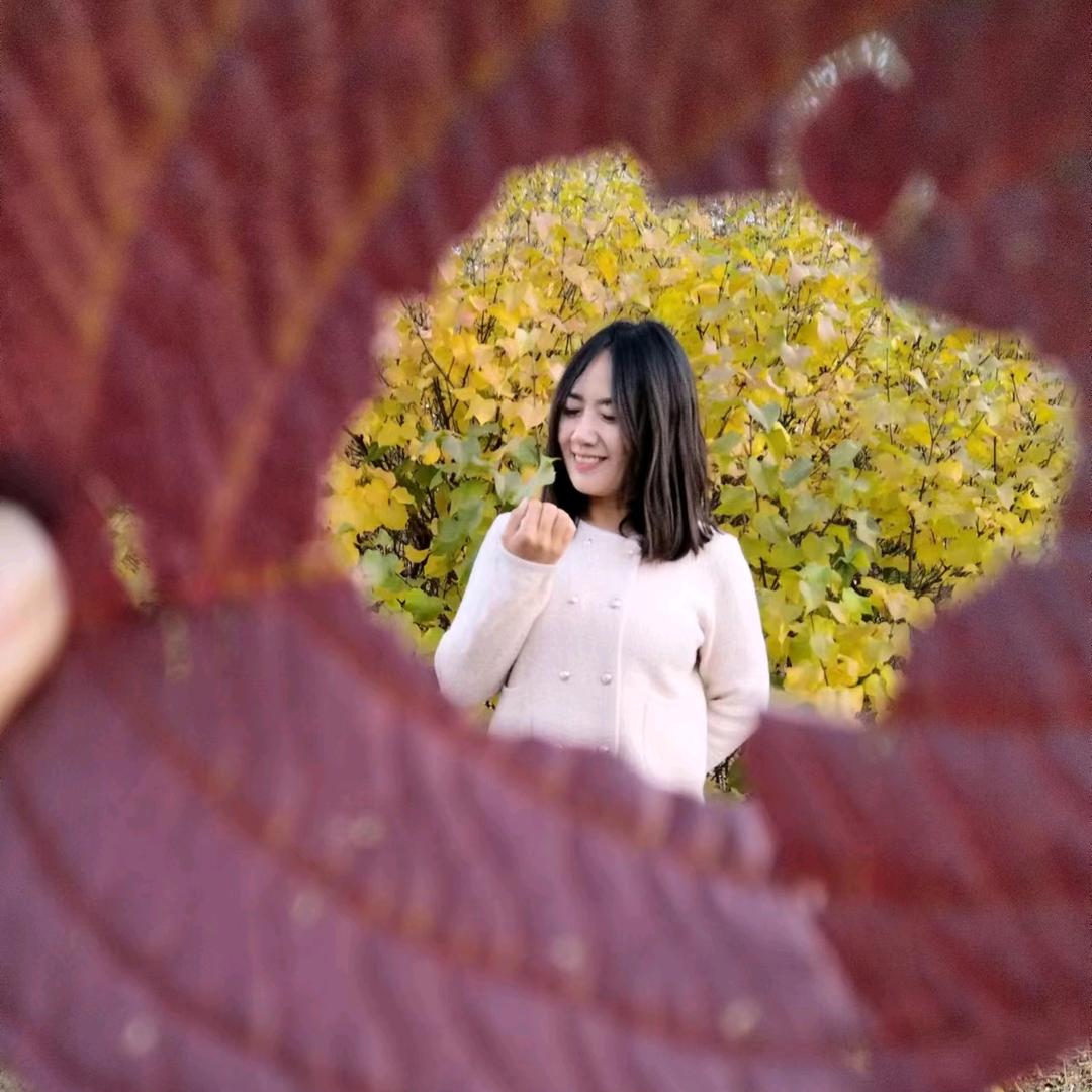 美周周(记录美好生活)