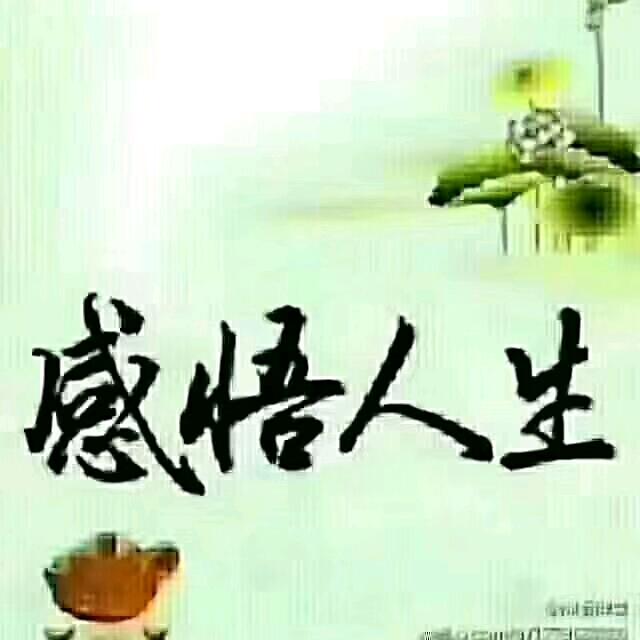缘来是你