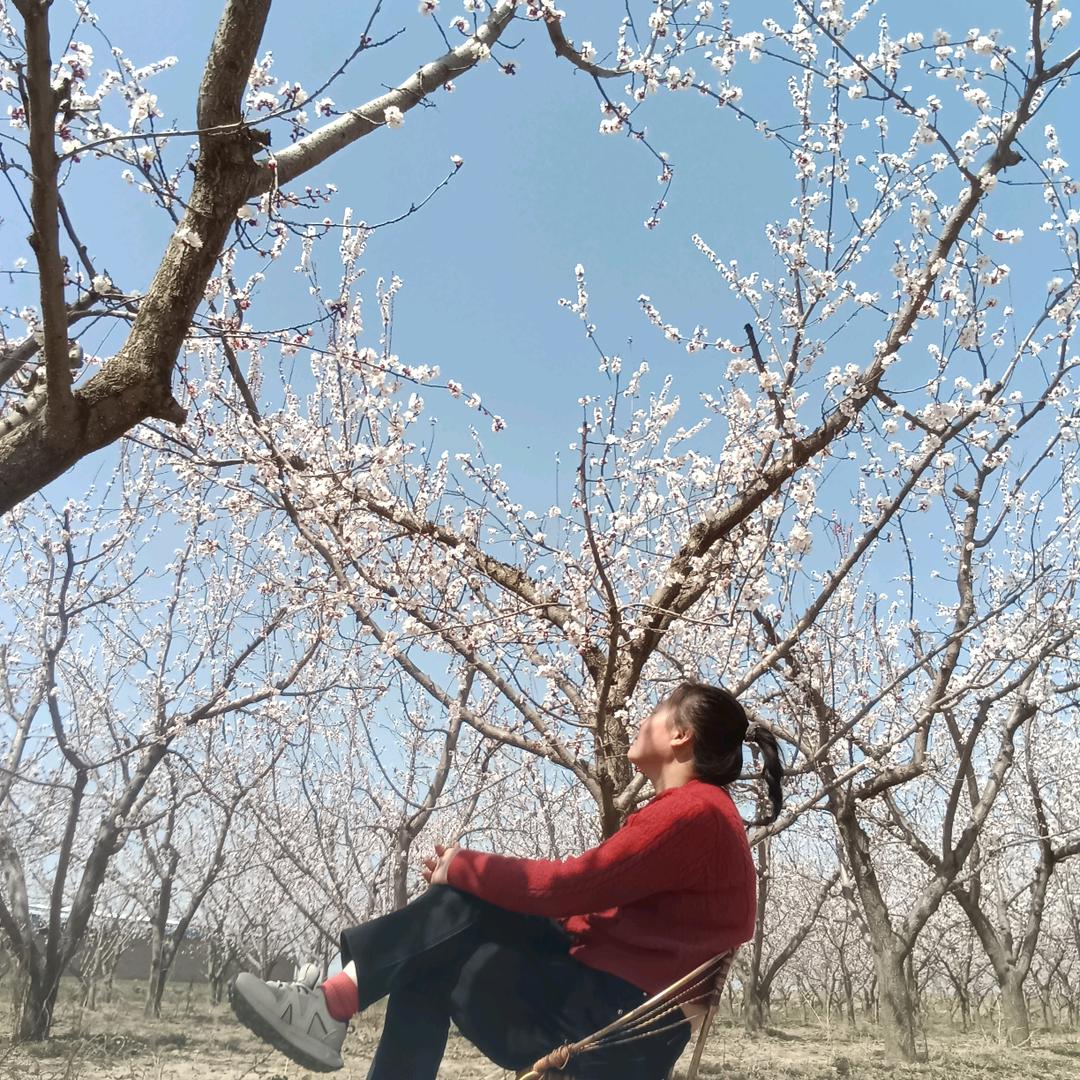浅 暖