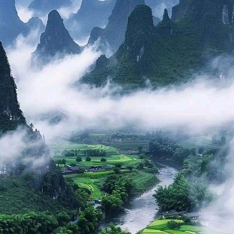 陈洪梅🍎