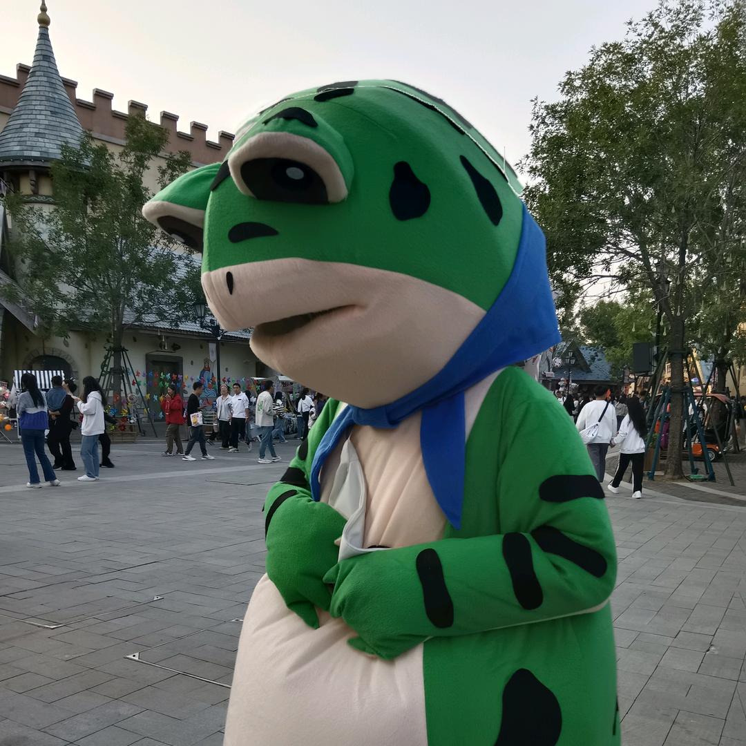 白天打盹夜里玩🌷☘