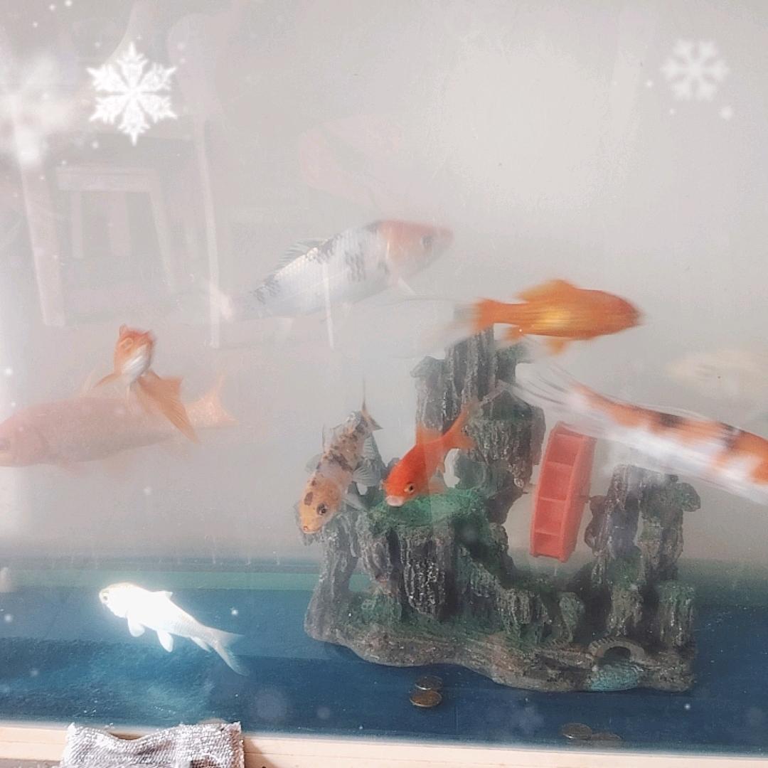 小林