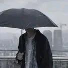 小叶