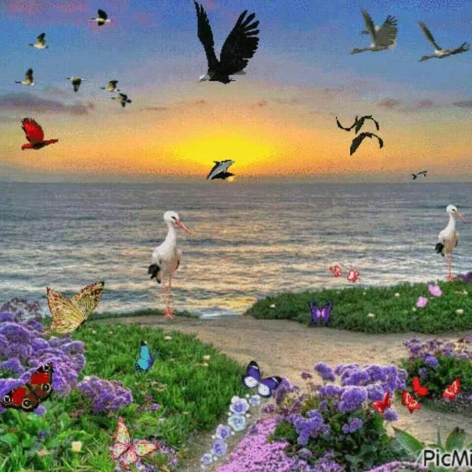 金庆仙一生平安