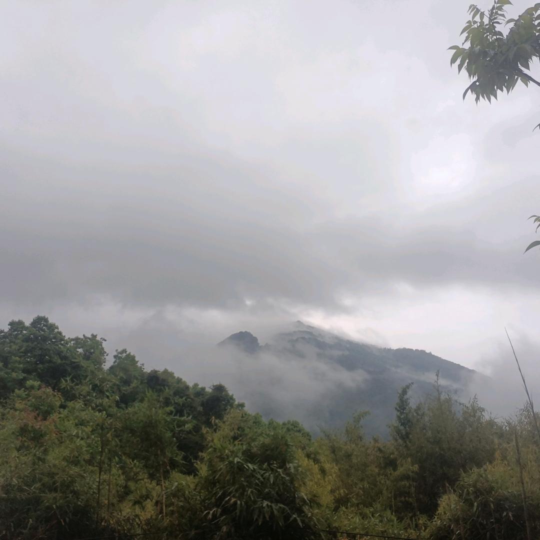 我是古月胡