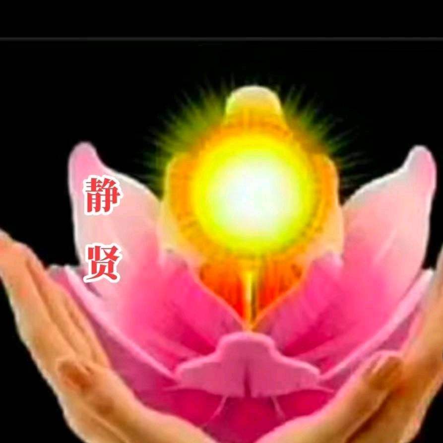 静贤（醉醉象）