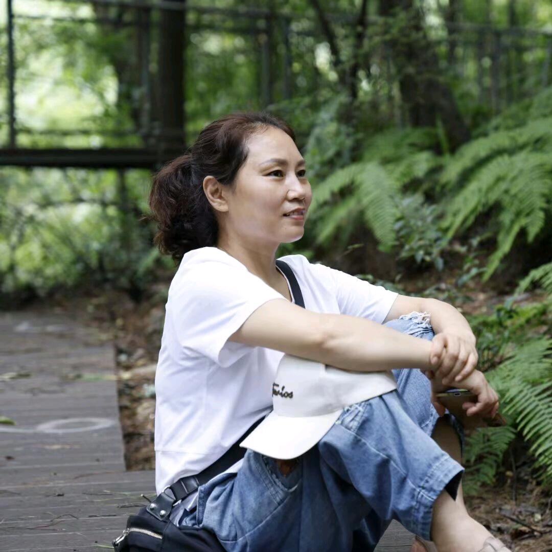 岚精灵