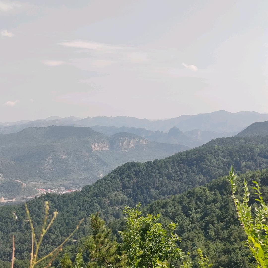 郓城诚康建筑工程有限公司