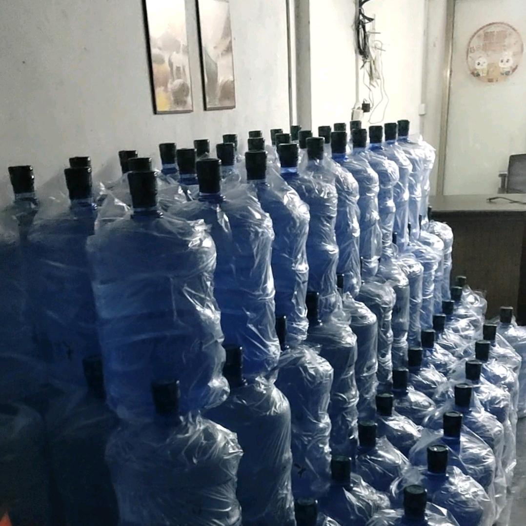 自由哥