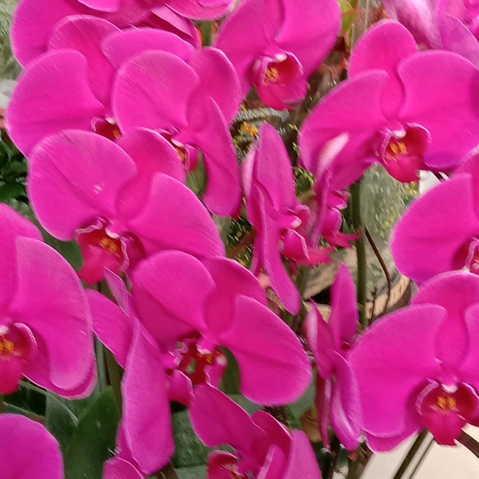 温暖的风🌺
