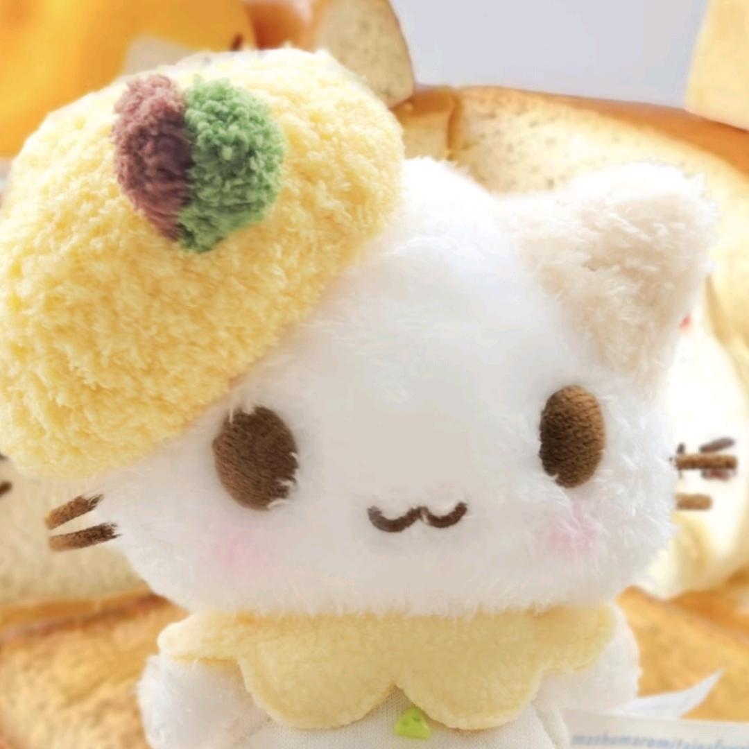 棉花糖猫咪咪咪咪