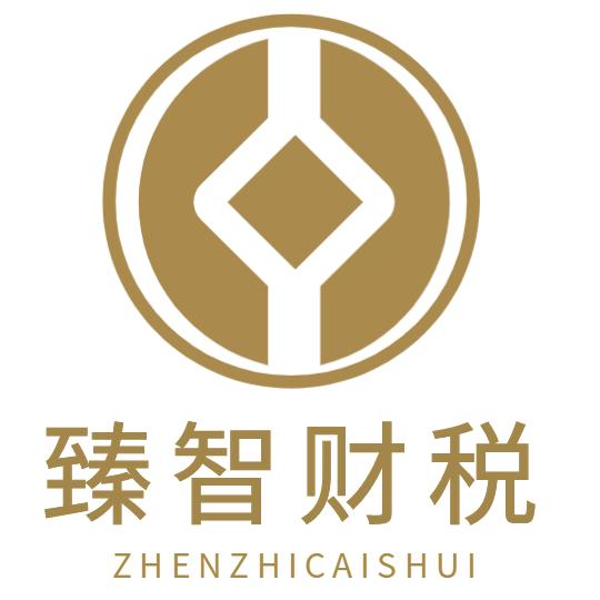 臻智财税