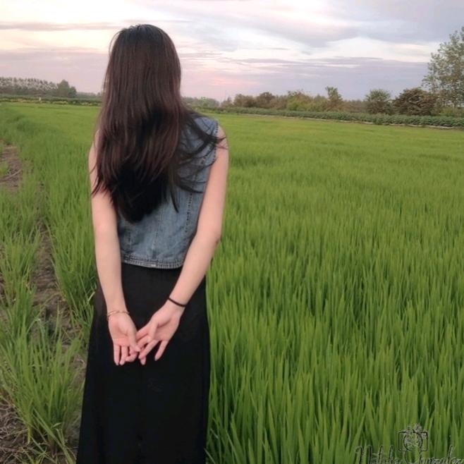 Z月光