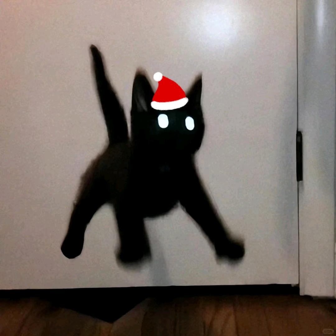 xy.