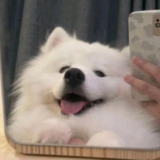 早点睡
