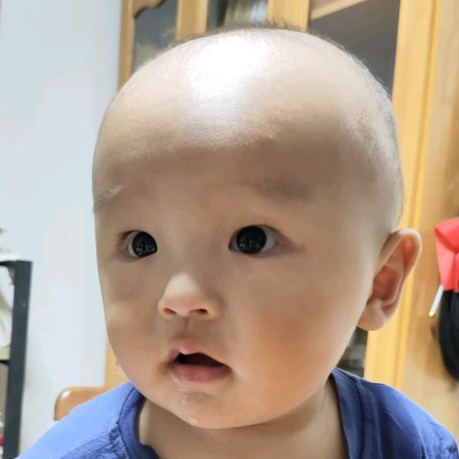 惜鸿爸爸