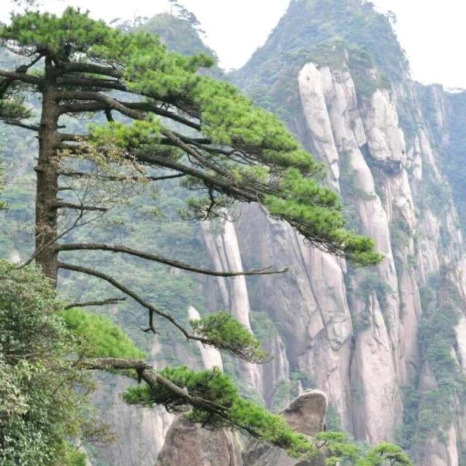 明天更加美好