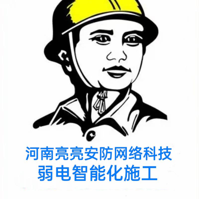 河南亮亮安防网络科技(刘).