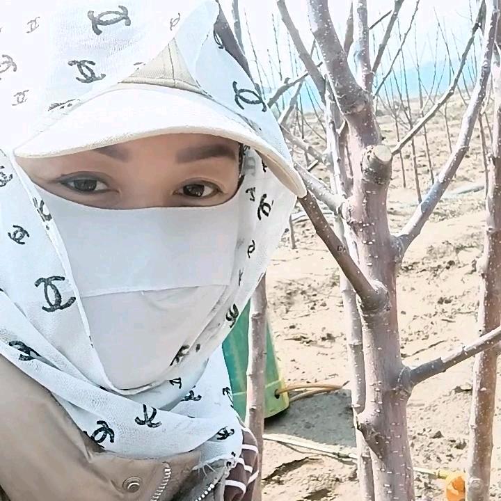 老班长果树苗木自繁自销