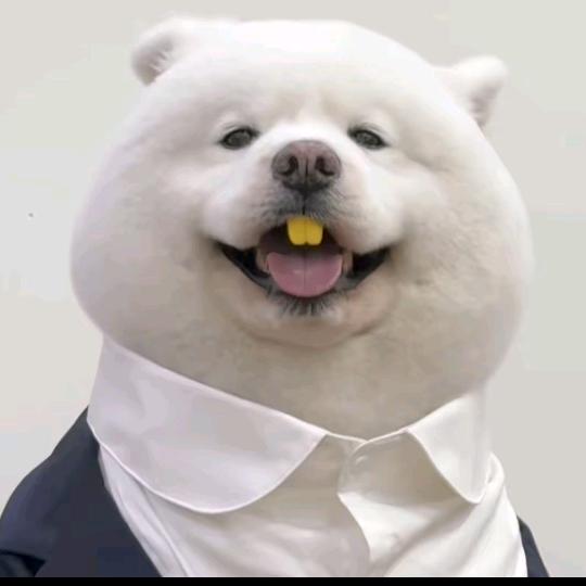 海的味道我知道