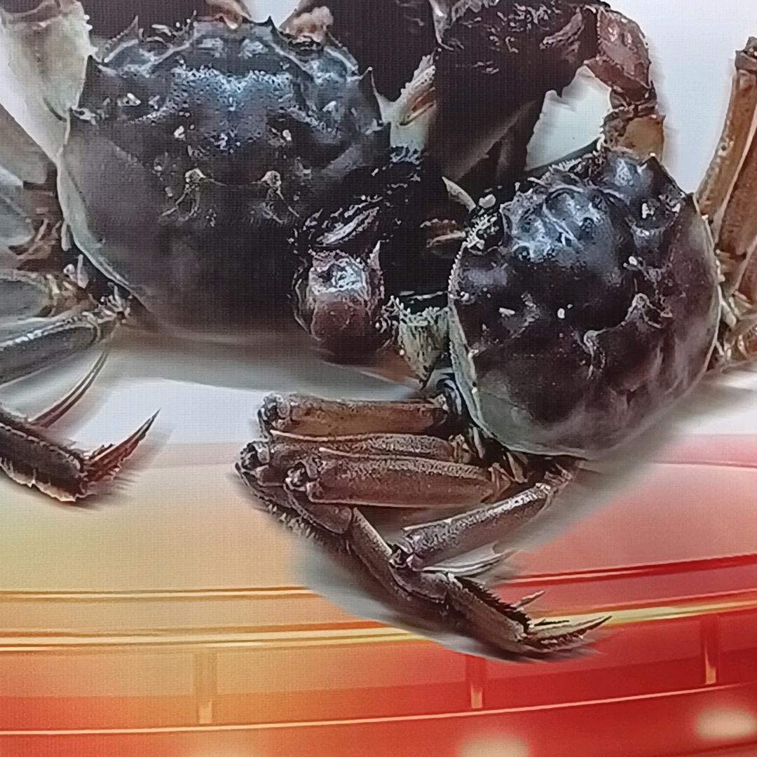 沱湖蟹皇