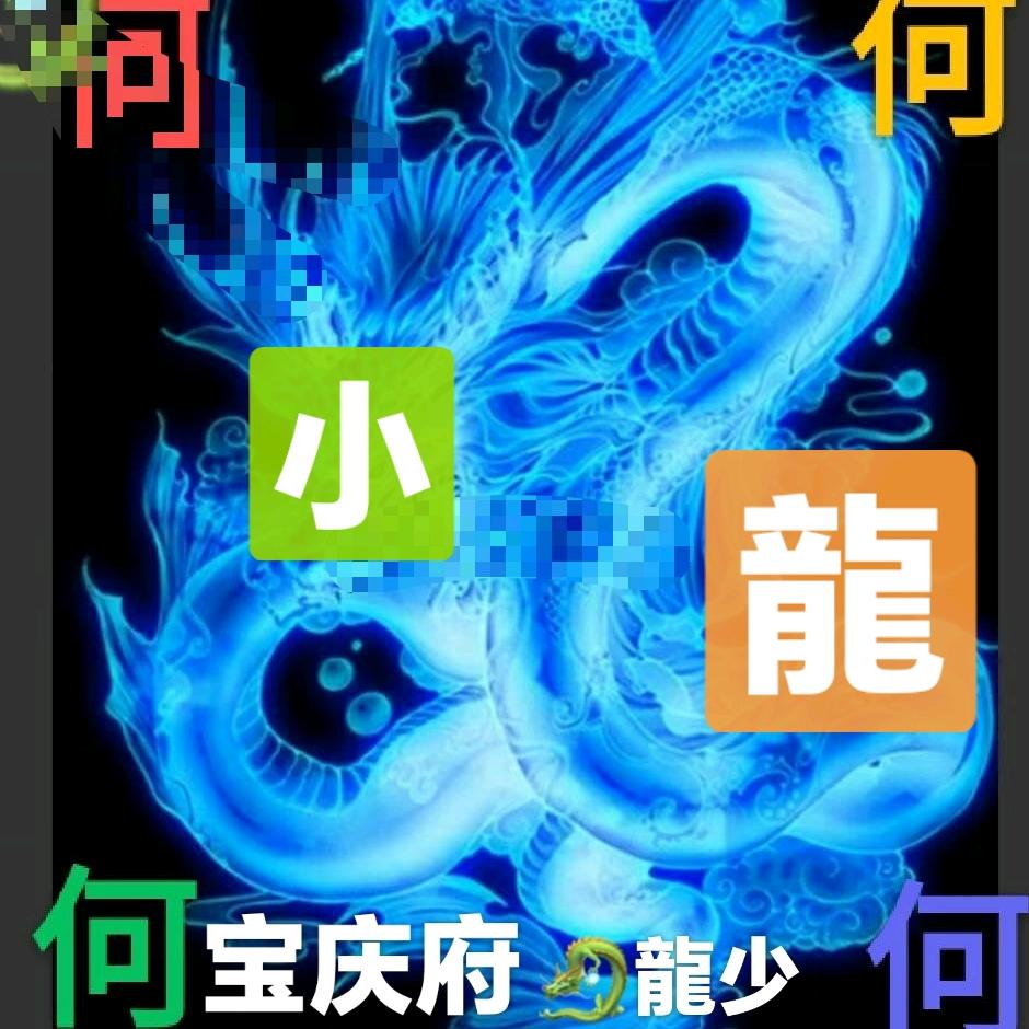 宝庆府🐉龍少🐉(Bruce He)
