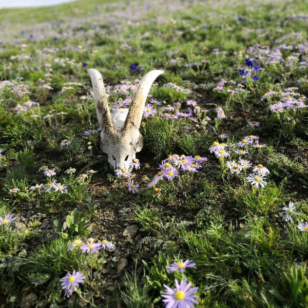 醉酒后最假的你