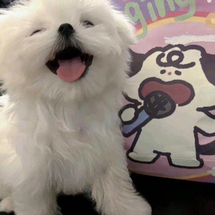 ˶> ᎑ <˶