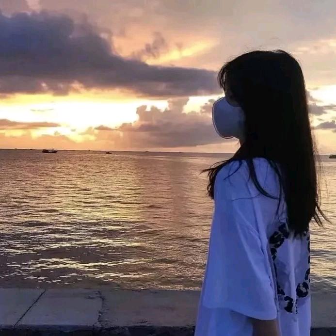 晚鹤