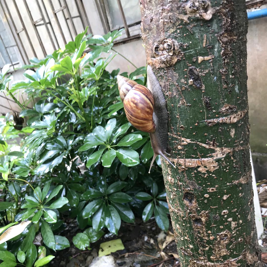 一念起万水千山·一念灭沧海桑田