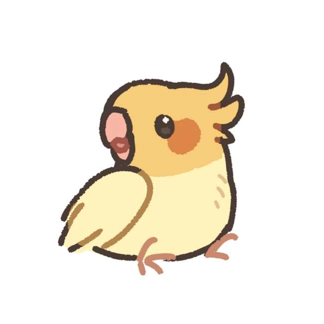 鸟鸟信徒集中地🦜✝️