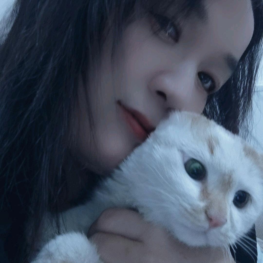 @୧⍤⃝ 七安༊ღ᭄