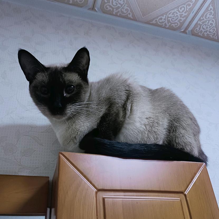 一半烟火   一半清欢