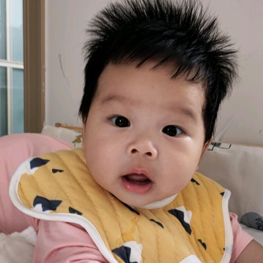 懒洋洋的小扬扬