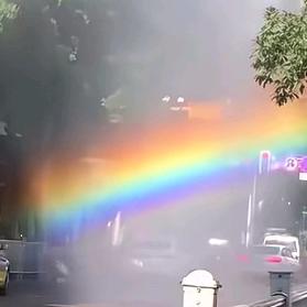 🌈🌼✨