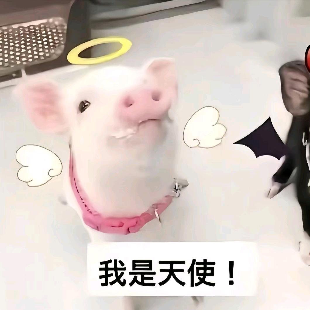 姚茹饴助理/悸妤