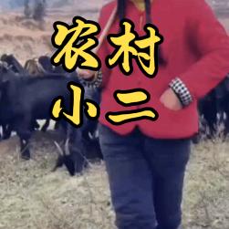 农村小二