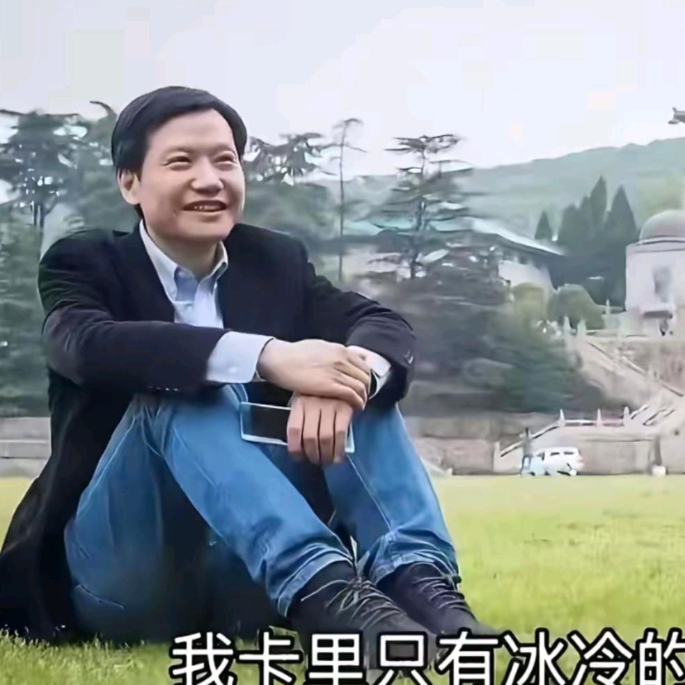 重生之我在小米之家当牛马