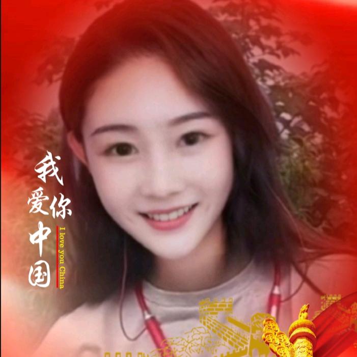 卫迪