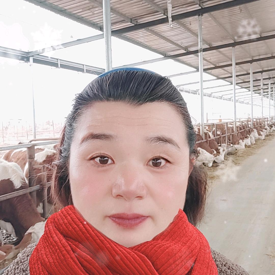 牛牛姐