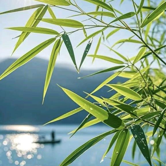 ℋღ᭄品味人生💰࿐