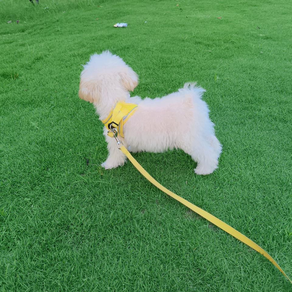 多财 多亿