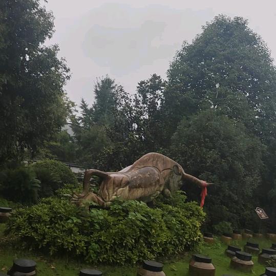 自由老姐