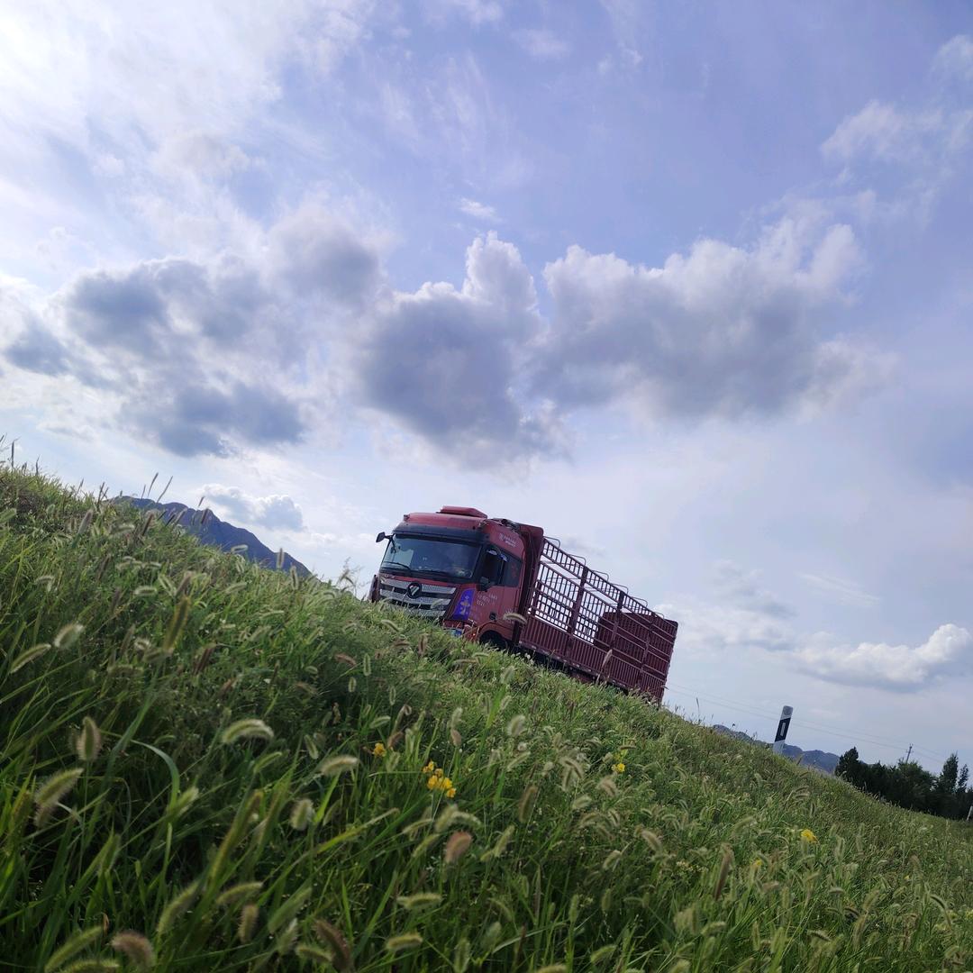 南征✈️北战～小 米