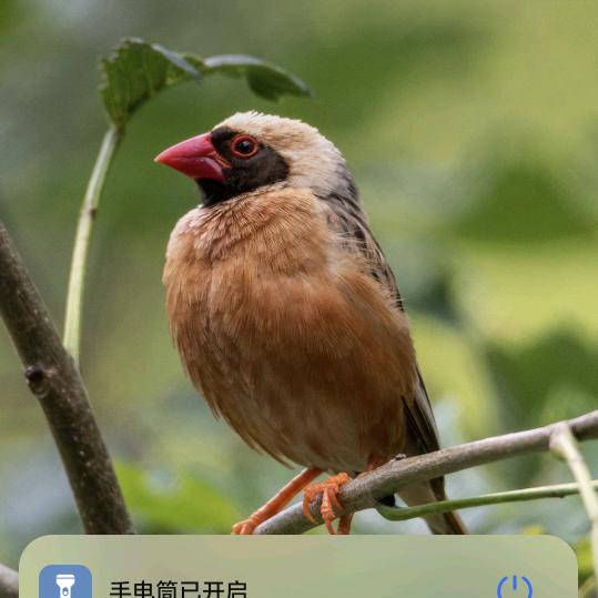 三个石头