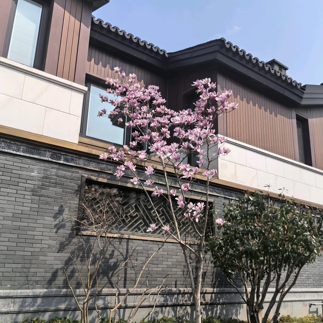 5点早起备考注会