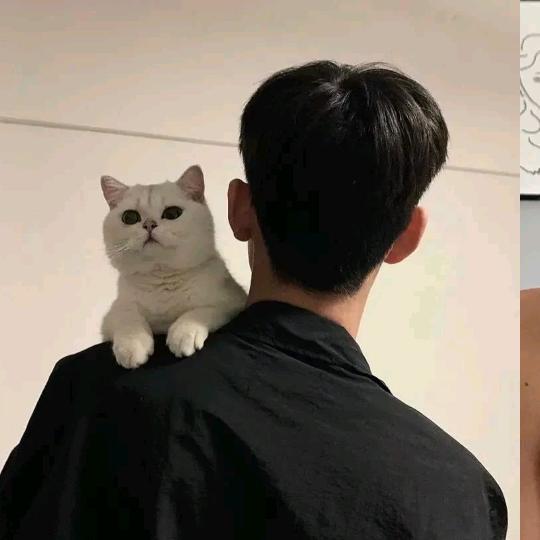豪豪爱📷